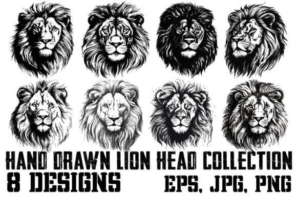 Download Collection of Hand Drawn Lion Head - Drawn Collection