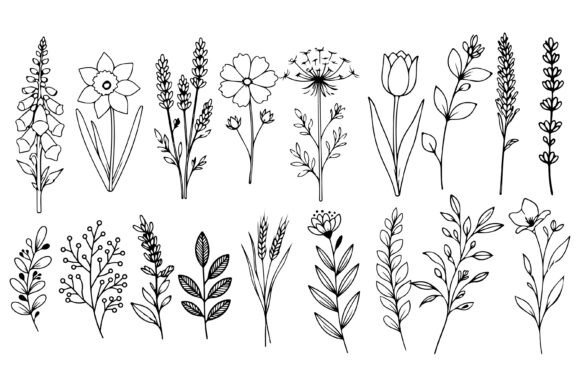Download Set of Herbs and Wild Flowers Vector Art - Flowers Collection