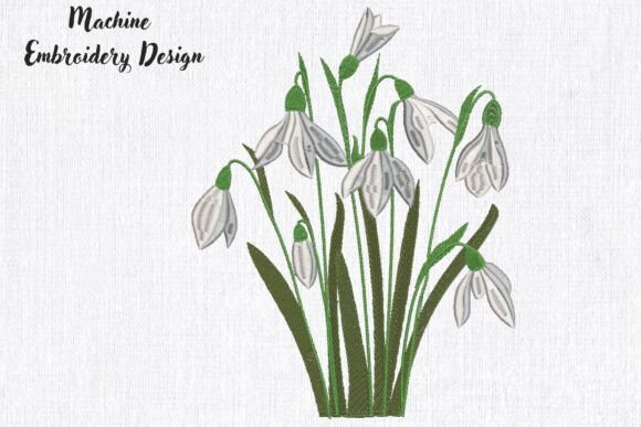 Download White Flowers Snowdrops - Flowers Collection