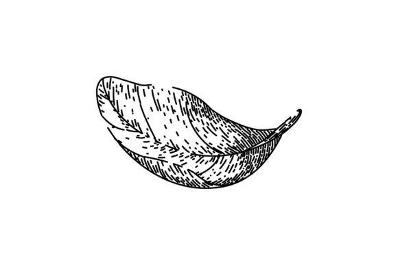 Download Basil Leaves Herb Sketch Hand Drawn - Drawn Collection