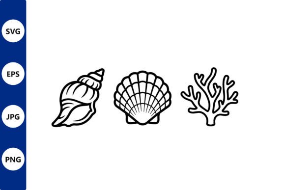 Download Shell Line Art Set Conch Scallop Coral - Premium Bundle