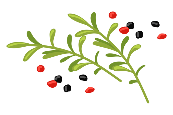 Download Cooking Herbs Cartoon Icon. Rosemary Bra - Premium Resources