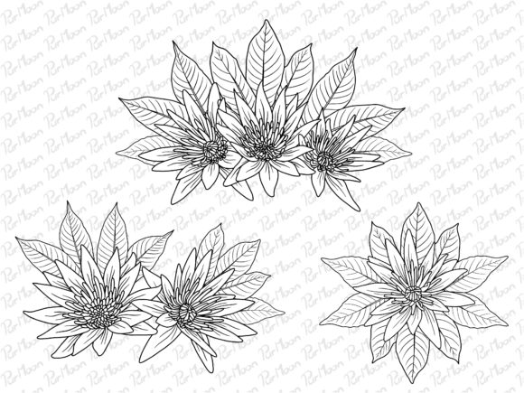 Download Flowers Line Art Arrangements - Flowers Collection