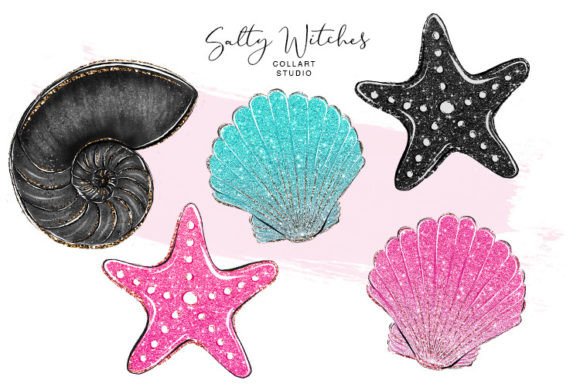 Download Hand Drawn Shells, Sea Star, Glitter - Drawn Collection