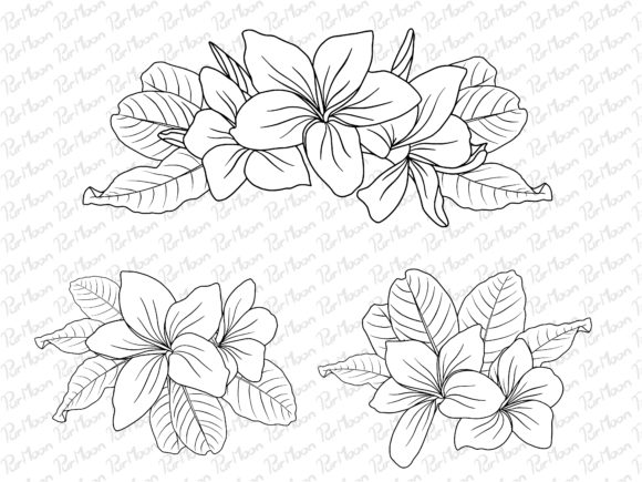 Download Flowers Line Art Arrangements - Flowers Collection