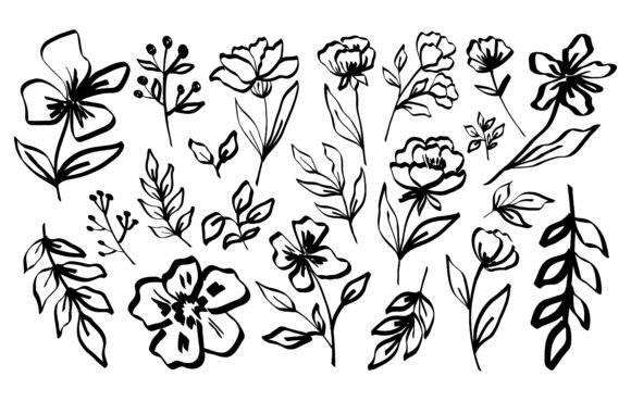 Download Hand Draw Line Flowers and Leaves - Flowers Collection