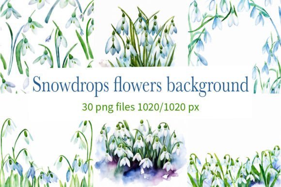 Download Snowdrops Flowers Background - Flowers Collection