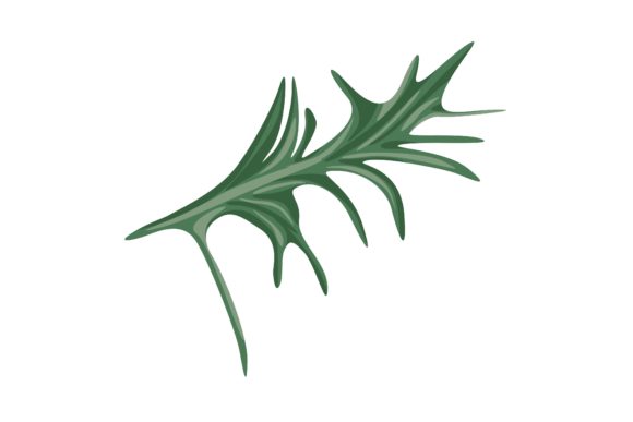 Download Rosemary Leaves Illustration Vector - Rosemary Collection