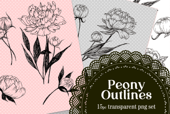 Download Peony Drawn Floral Lines PNG Set - Drawn Collection