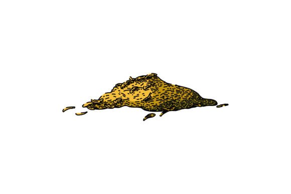 Download Organic Thyme Leaf Sketch Hand Drawn Vec - Drawn Collection